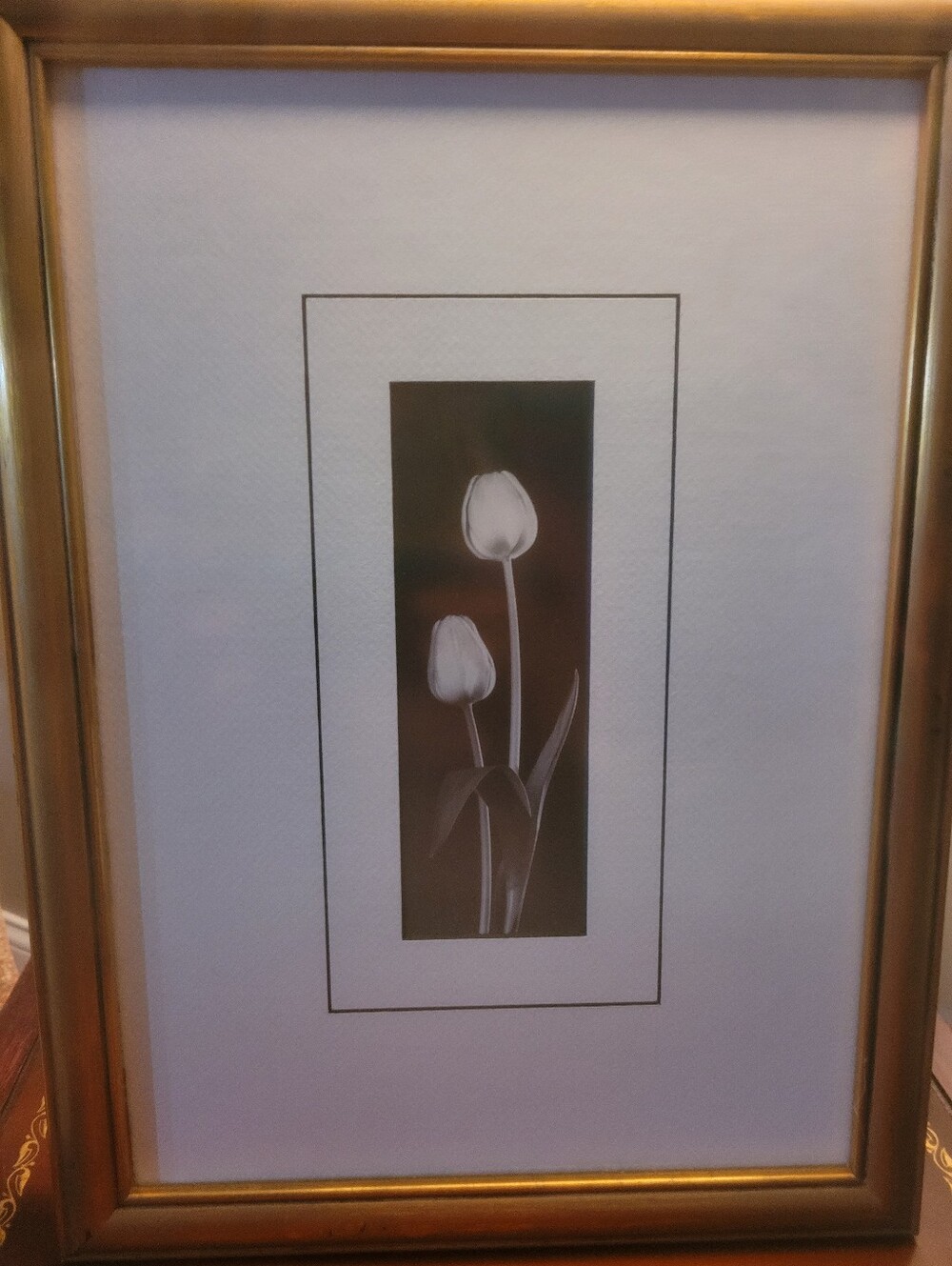 Vintage Contemporary Black White Twin Tulip Framed Photography Print Gold Frame